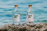 Gin from the island of Vis triumphs at 2024 World Gin Awards