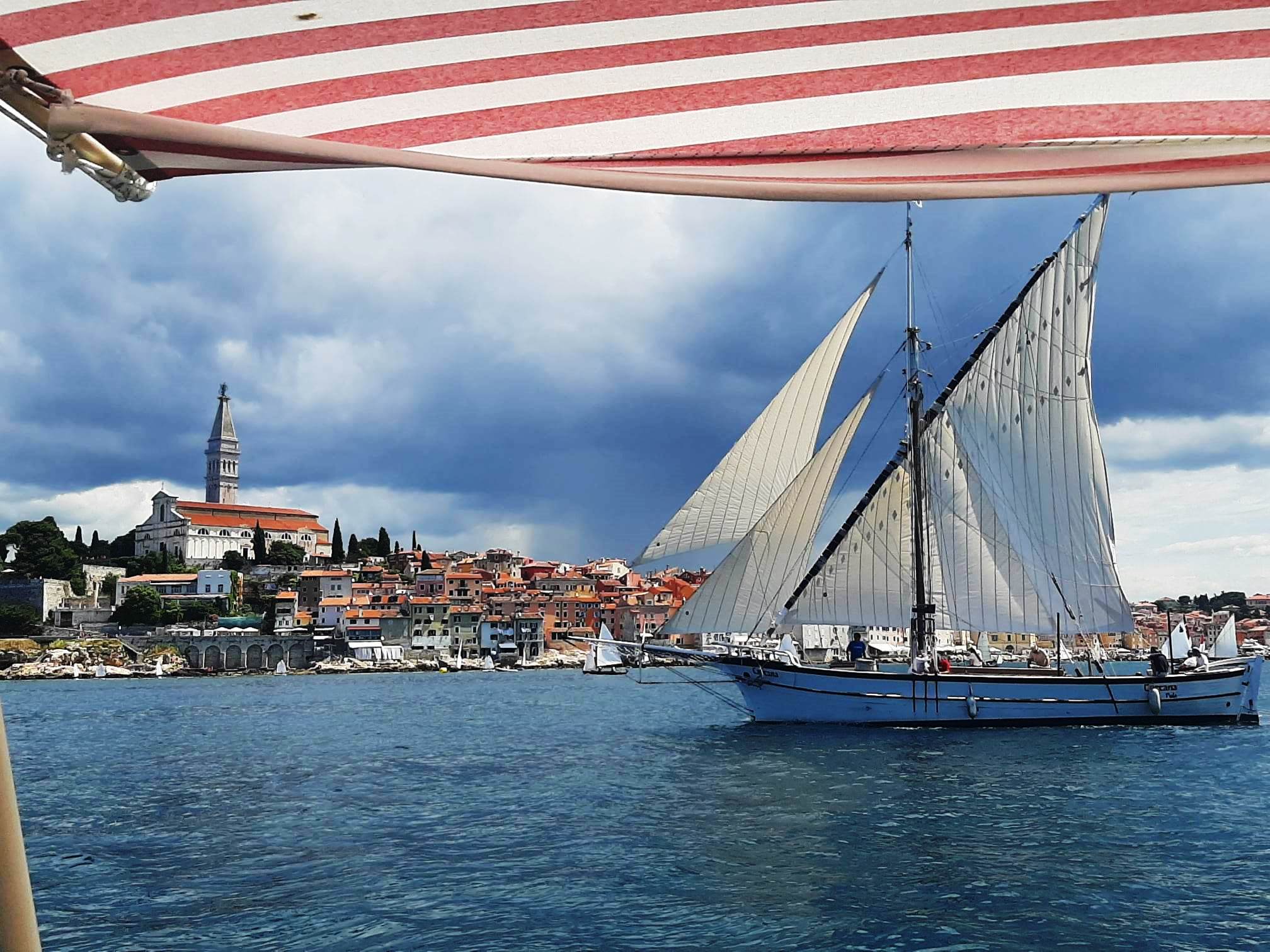 Regatta of traditional boats in Rovinj