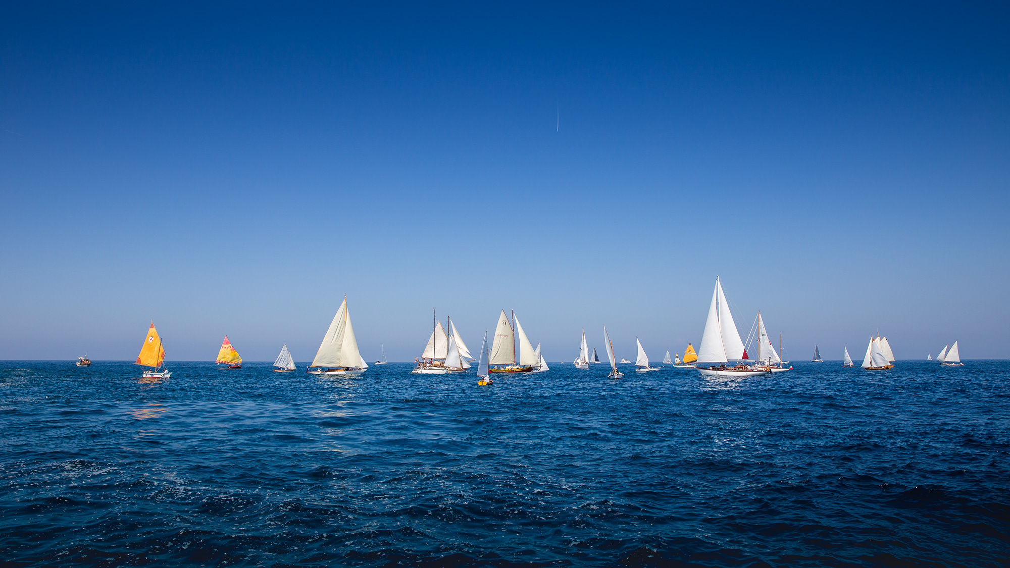 Regatta of traditional boats in Rovinj