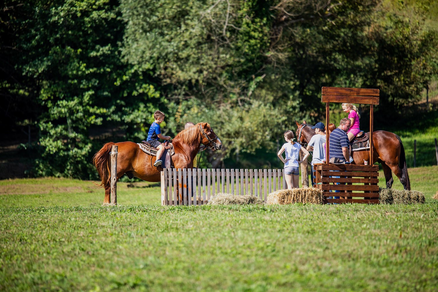 Štrudlafest 2023: The sweetest Croatian festival set to take place again