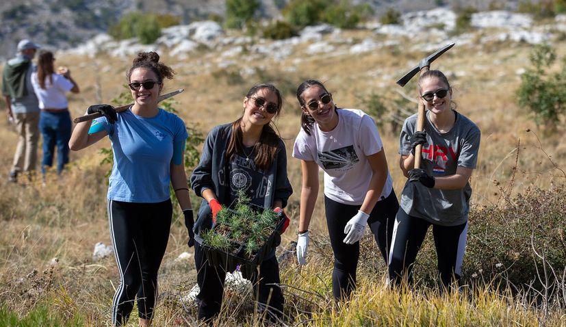 Popular Boranka reforestation campaign starts again near Split