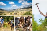 Australians, Brits and South Africans join locals in afforestation action in Split 