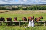 Croatian female farmers to help empower rural women