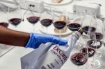 11 Croatian wines win gold at Decanter World Wine Awards