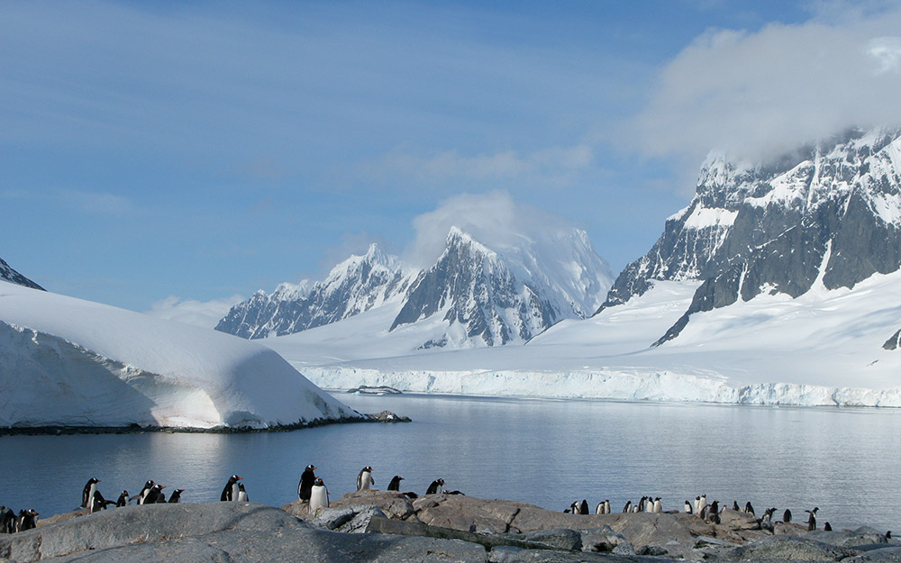 The bestselling Croatian Desserts cookbook travels to Antarctica