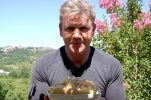 VIDEO: Gordon Ramsay makes a sandwich in Croatia: “Local produce is second to none”