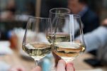 Istria to host 27th Vinistra and World Malvasia Champs