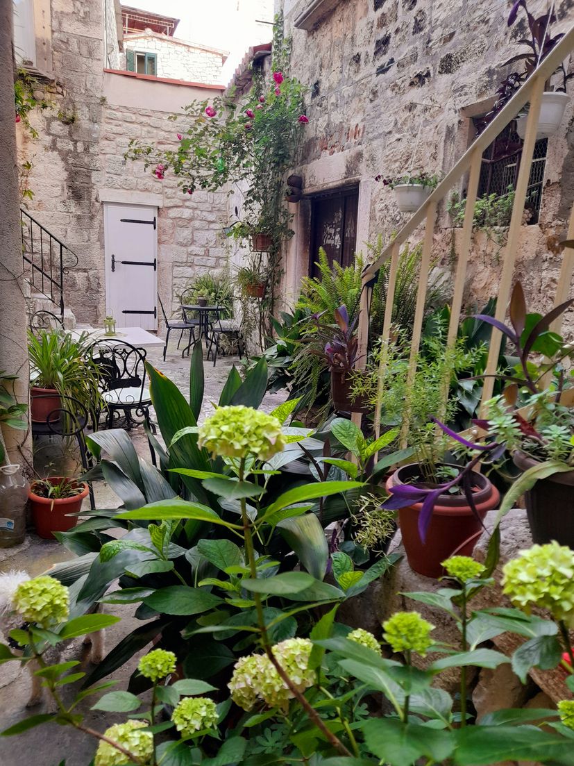 Most beautiful gardens and balconies in Trogir selected 