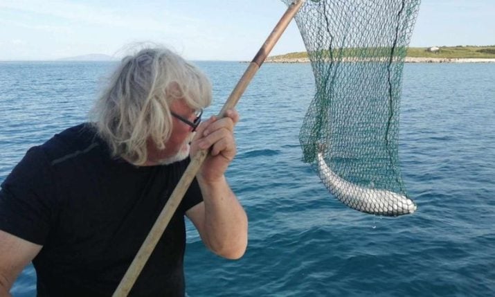 Most poisonous fish in the world caught off Croatian island 