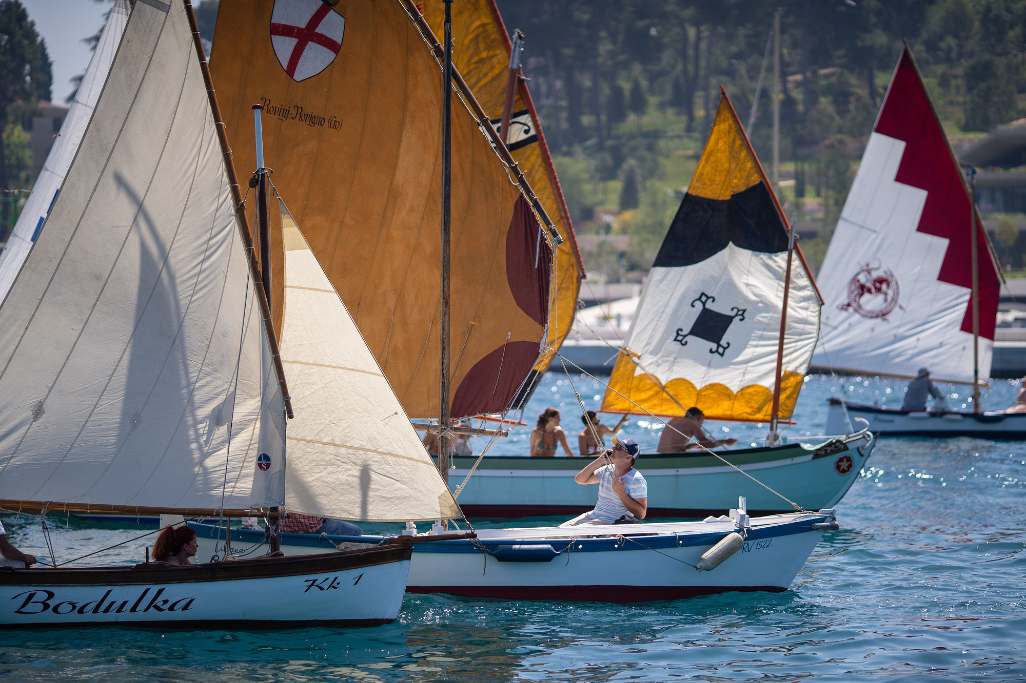 Regatta of traditional boats in Rovinj