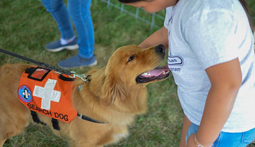 Croatian city of Sisak set to become international centre for training search and rescue dogs