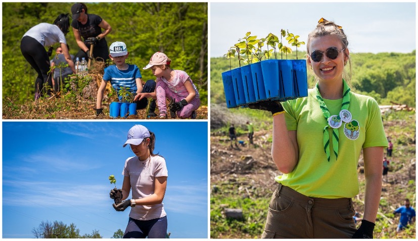 Croatia’s largest reforestation project plants 2,000 new trees in Slunj