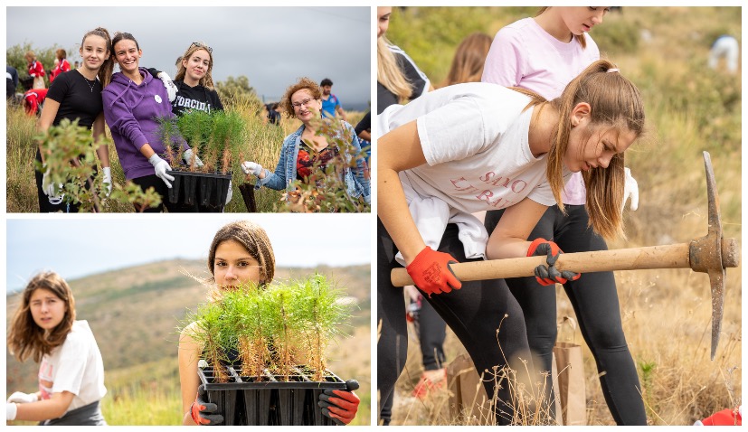 PHOTOS: Reforestation campaign in Trogir for first time 