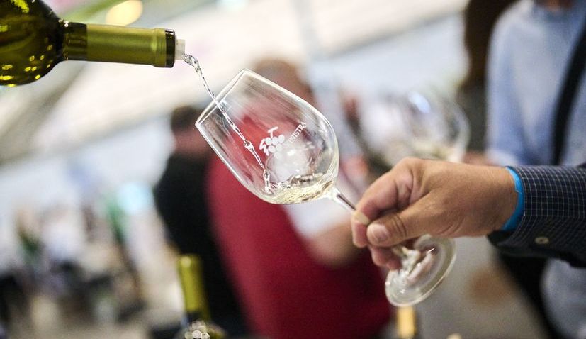 Istrian wine scene impresses yet again